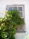 31/07/2007 23:59:00 31/07/2007 23:59:00